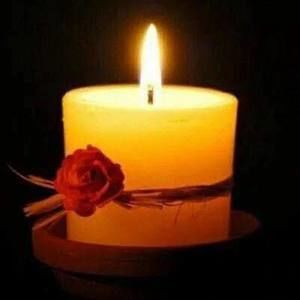 Meet your Posher, Anne